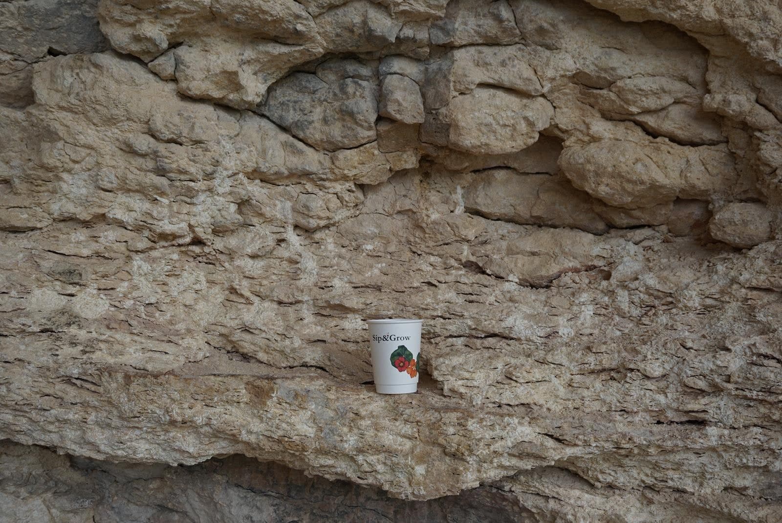 Transform Waste Into Life